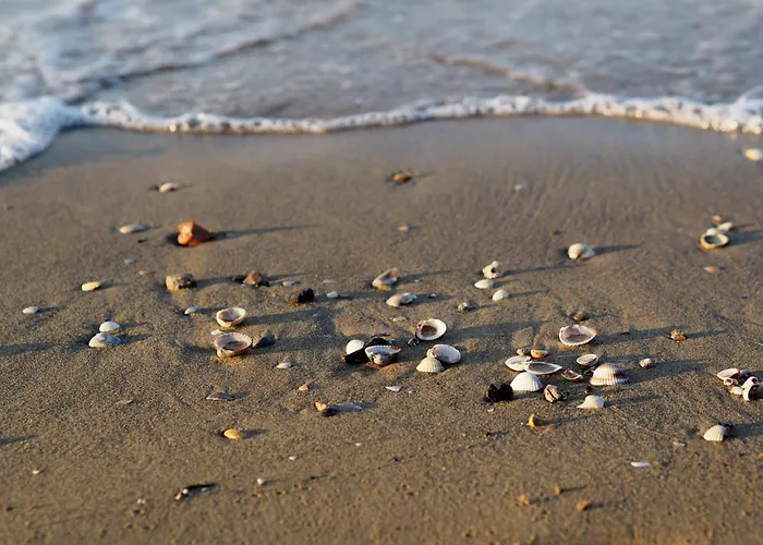 Fantastic One Bedroom With Swimming Pool *